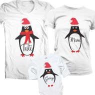 Set De Familie Pingiuni